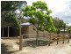 109 Walls Road, Glenburn VIC 3717