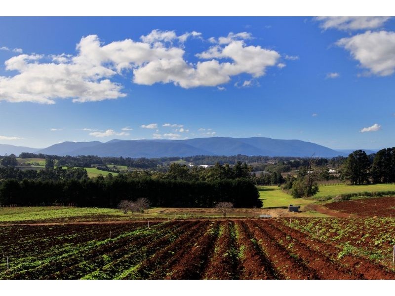 50 – 60 Chapman Road, Silvan VIC 3795