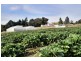 18 Years Established, Wandin North VIC 3139