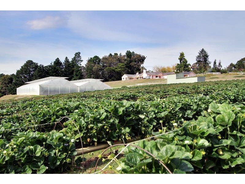 18 Years Established, Wandin North VIC 3139