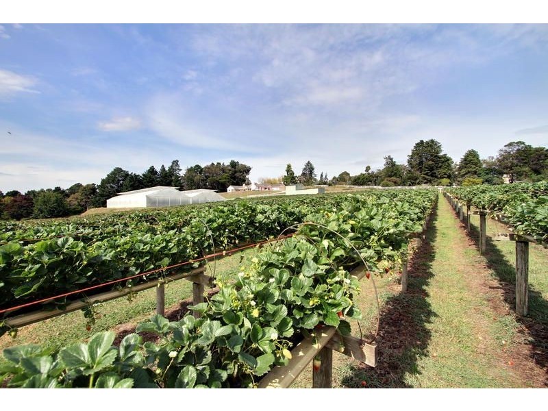 18 Years Established, Wandin North VIC 3139