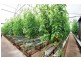 18 Years Established, Wandin North VIC 3139