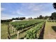 18 Years Established, Wandin North VIC 3139
