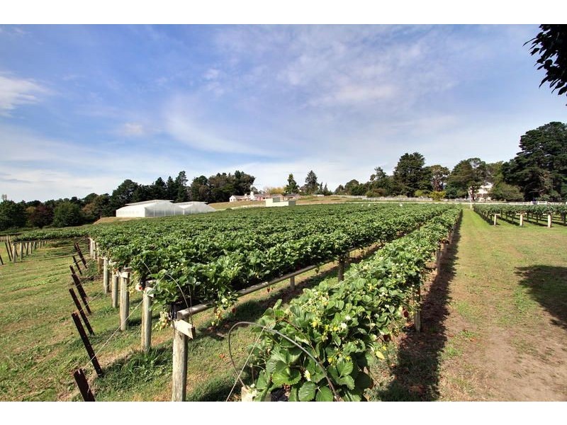 18 Years Established, Wandin North VIC 3139