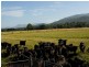 Woori Yallock VIC 3139