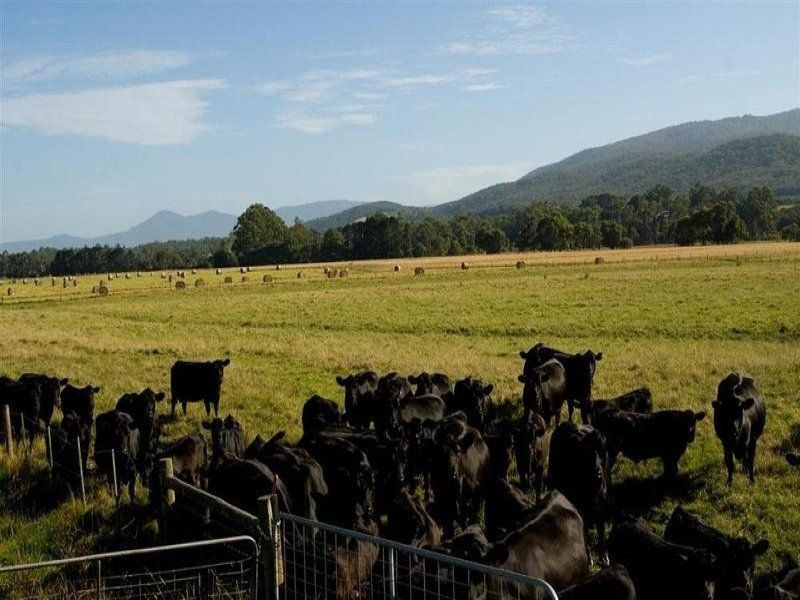 Woori Yallock VIC 3139