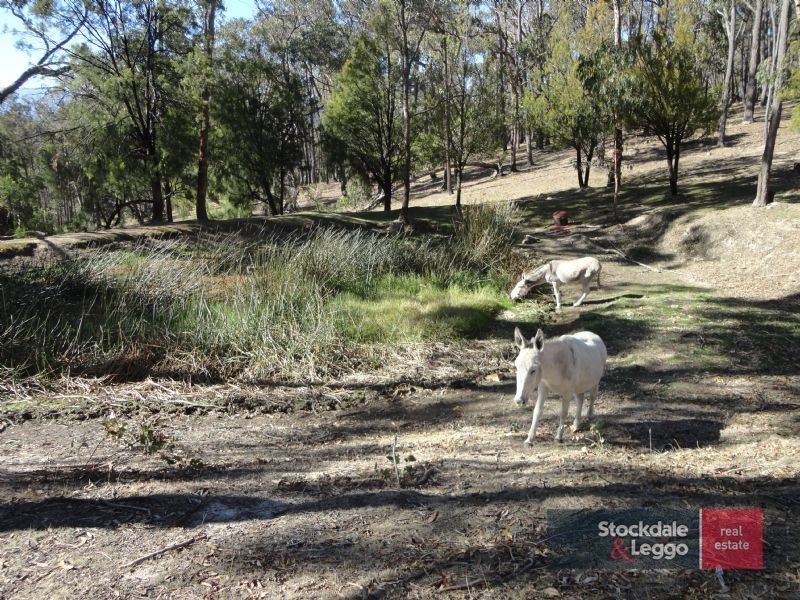 30 Boundary Rd, Wandin North VIC 3139