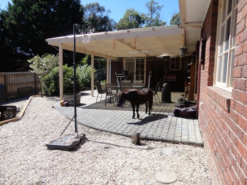 11 Winifred Street, Seville VIC 3139