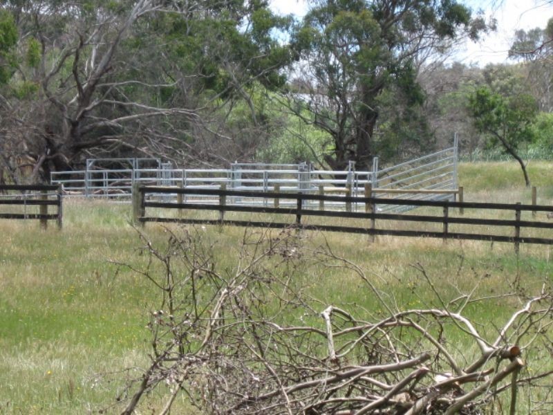 109 Walls Road, Glenburn VIC 3717
