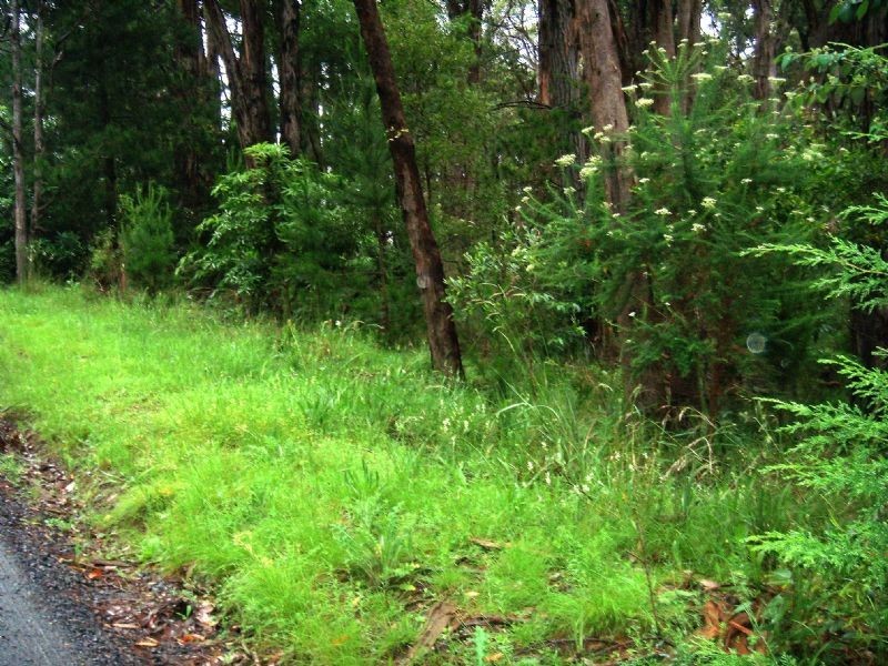 6 Hillcrest Road, Gruyere VIC 3770