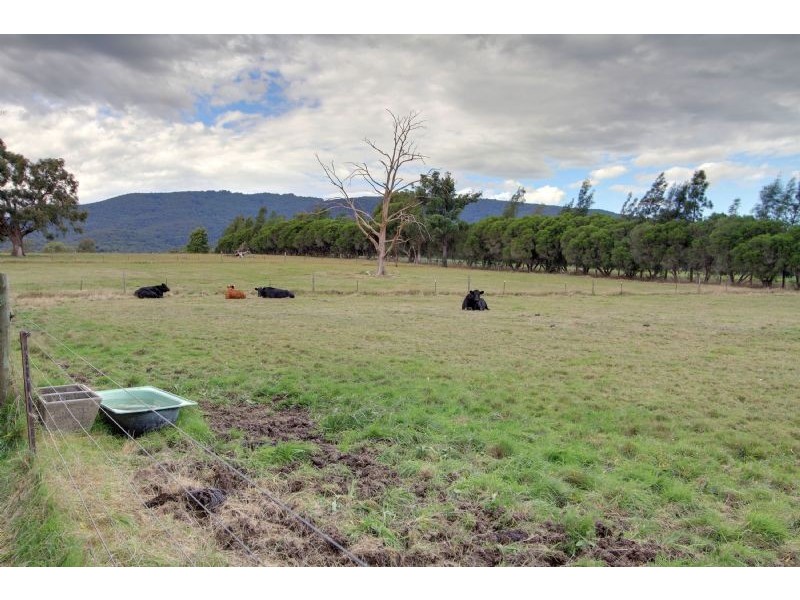 10 Toolebewong Road, Healesville VIC 3777