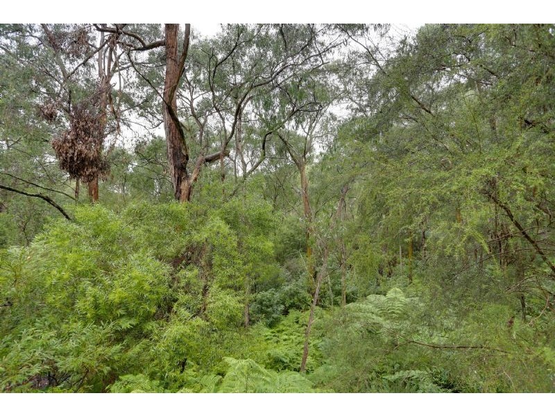 25 Lusatia Park Rd, Woori Yallock VIC 3139