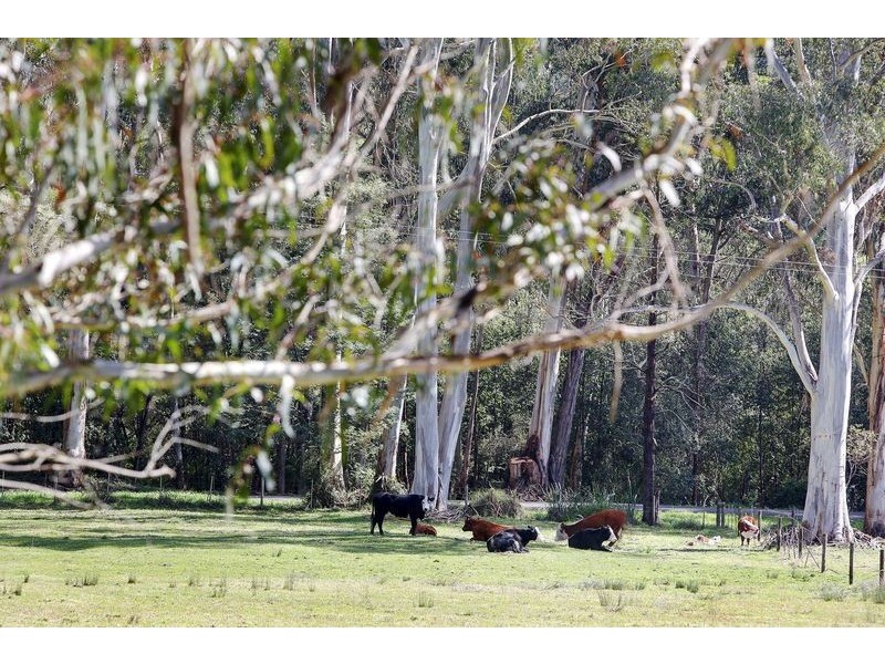 25 Big Pats Creek Road, East Warburton VIC 3799