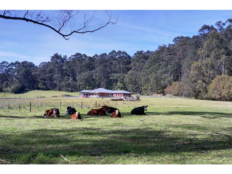 25 Big Pats Creek Road, East Warburton VIC 3799