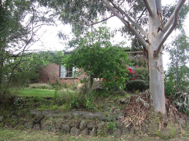 34 CAROLE AVENUE, Chirnside Park VIC 3116