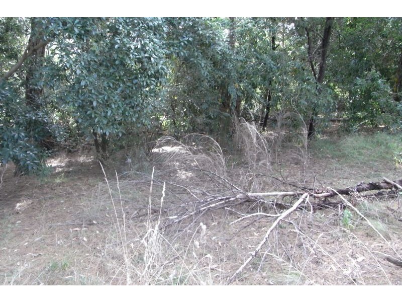 41 Johns Crescent, Mount Evelyn VIC 3796