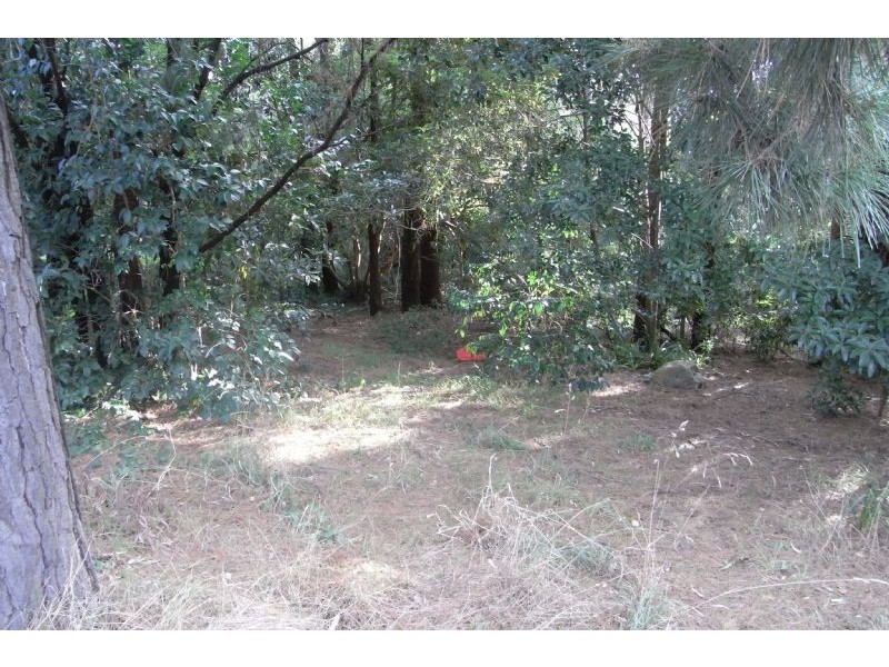 41 Johns Crescent, Mount Evelyn VIC 3796