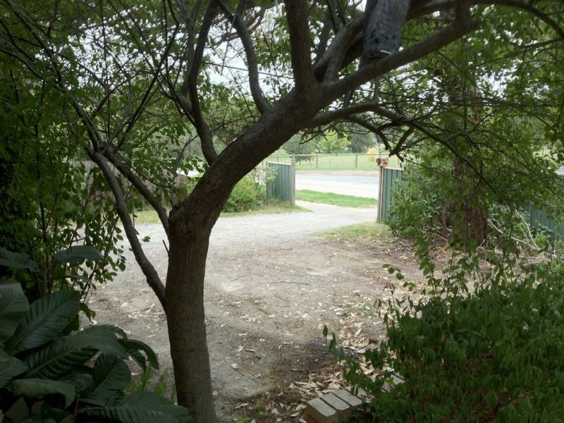 21 Switchback Road, Chirnside Park VIC 3116