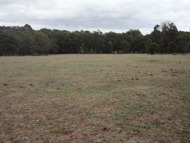 165 Eacotts Road, Hoddles Creek VIC 3139