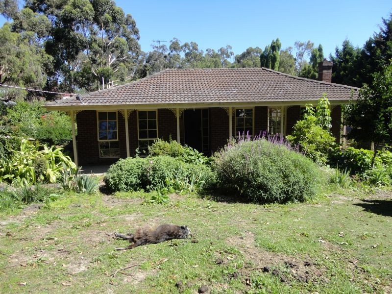 11 Winifred Street, Seville VIC 3139
