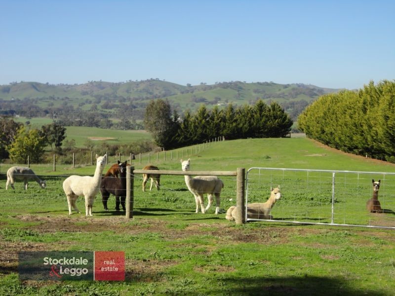 145 Henkes Lane (Via Yea), Yarck VIC 3719