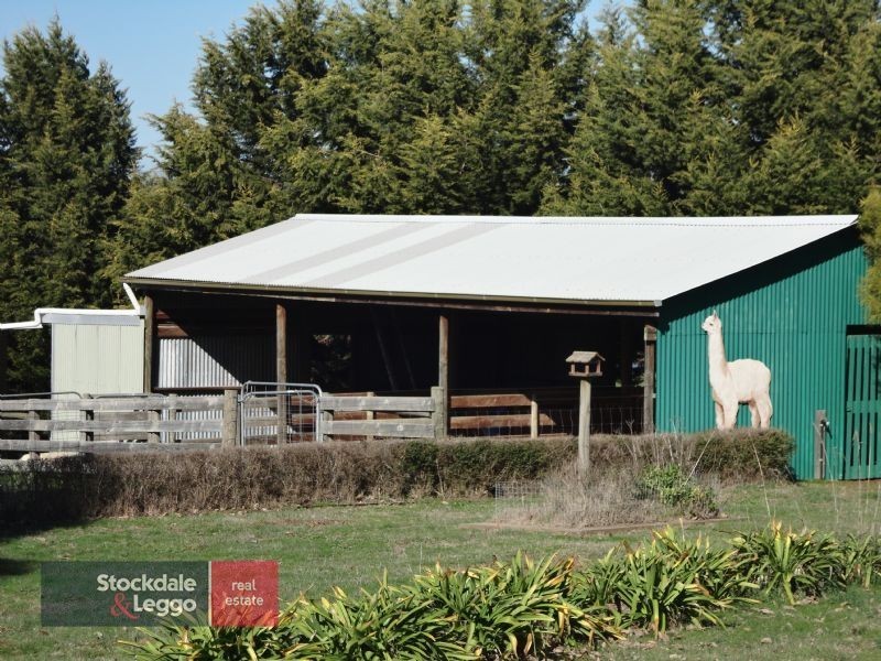 145 Henkes Lane (Via Yea), Yarck VIC 3719