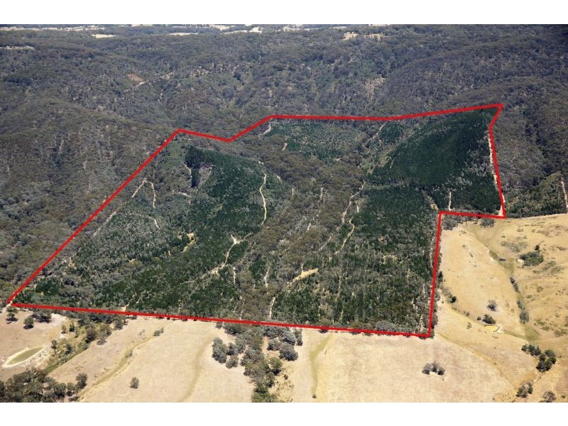 146 Rennies Lane, Gobur VIC 3719