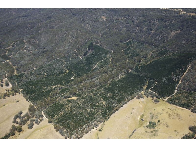 146 Rennies Lane, Gobur VIC 3719