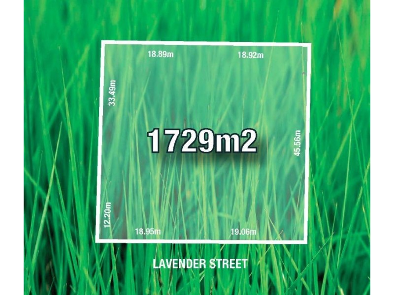 3-5 Lavender Street, Ringwood VIC 3134