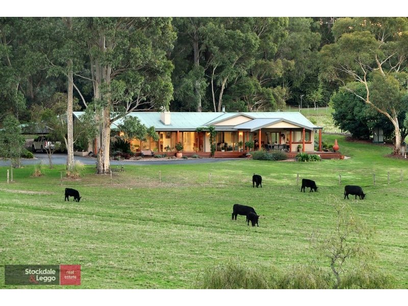 683 Warburton Highway, Seville VIC 3139