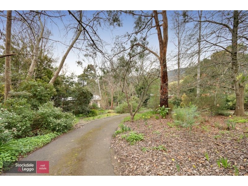 17 Stradbroke Road, Montrose VIC 3765