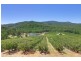 585 Victoria Rd, Gruyere VIC 3770