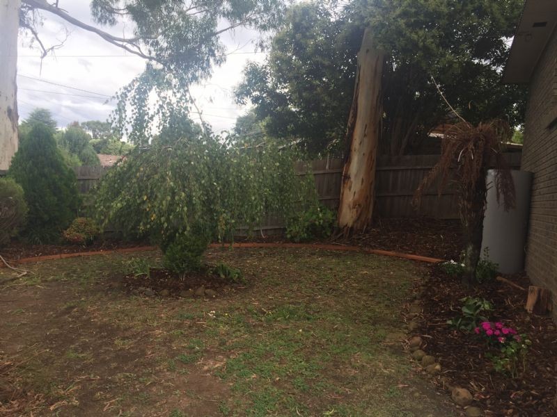 29 Patrick Street, Millgrove VIC 3799