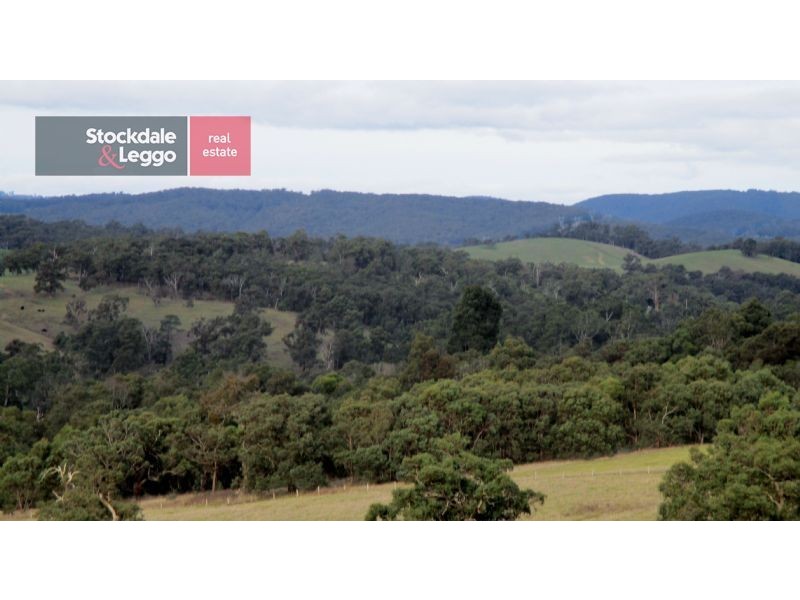 10 Smiths Road, Yellingbo VIC 3139