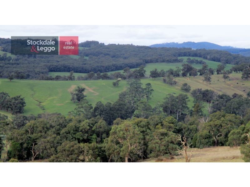 10 Smiths Road, Yellingbo VIC 3139