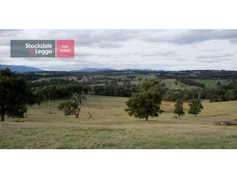 10 Smiths Road, Yellingbo VIC 3139