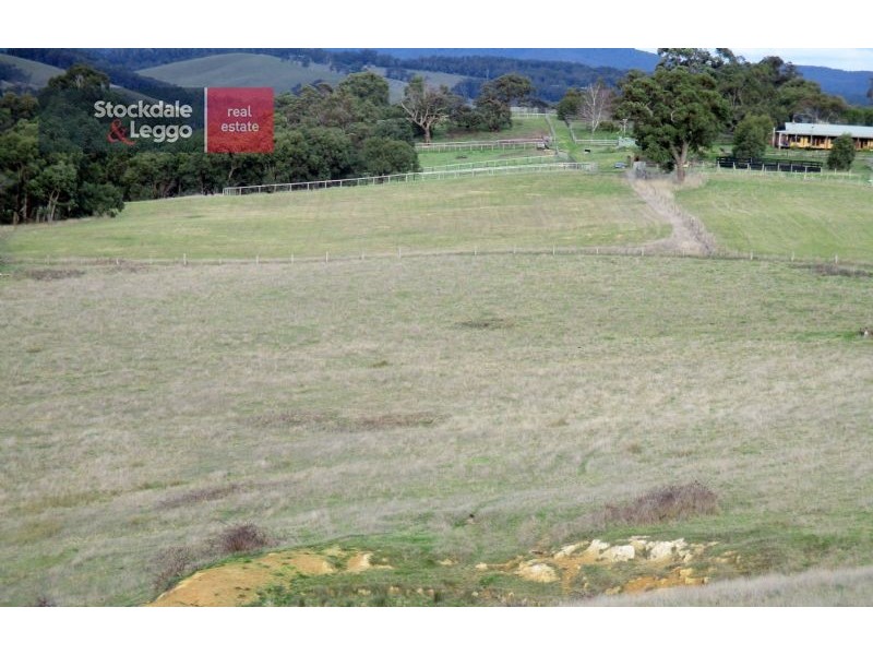 10 Smiths Road, Yellingbo VIC 3139