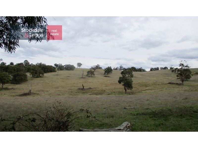 10 Smiths Road, Yellingbo VIC 3139