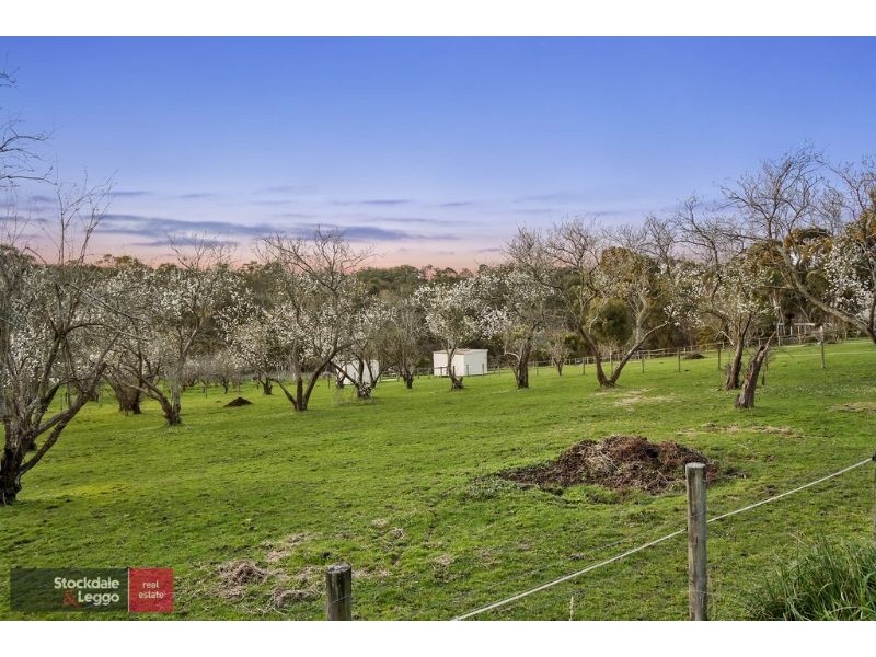 250 Clegg Road, Wandin North VIC 3139