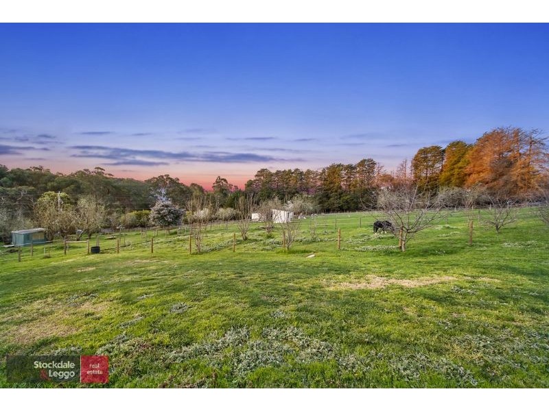 250 Clegg Road, Wandin North VIC 3139