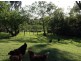 250 Clegg Road, Wandin North VIC 3139