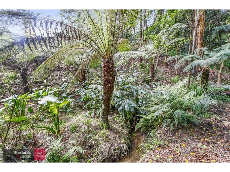 14 Clarke Avenue, Warburton VIC 3799