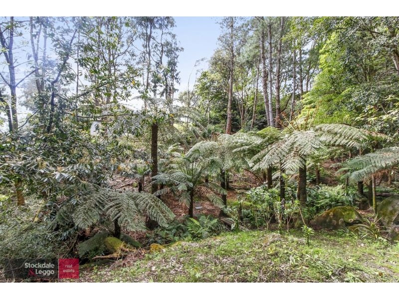 14 Clarke Avenue, Warburton VIC 3799