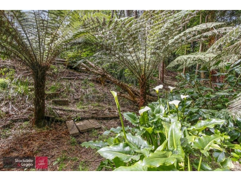 14 Clarke Avenue, Warburton VIC 3799