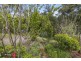 14 Clarke Avenue, Warburton VIC 3799