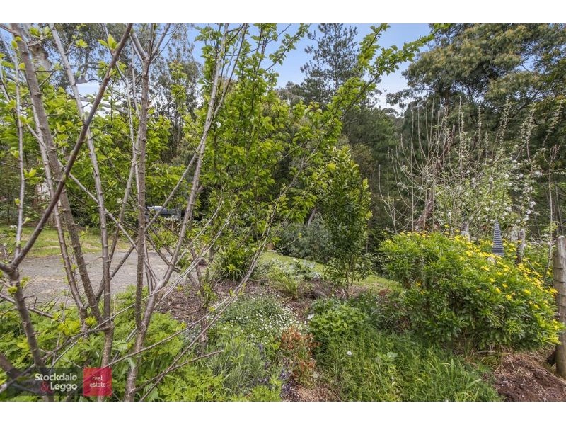 14 Clarke Avenue, Warburton VIC 3799