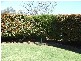 Melton VIC 3337