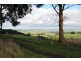 390 KORRINE RD, Glen Alvie VIC 3979