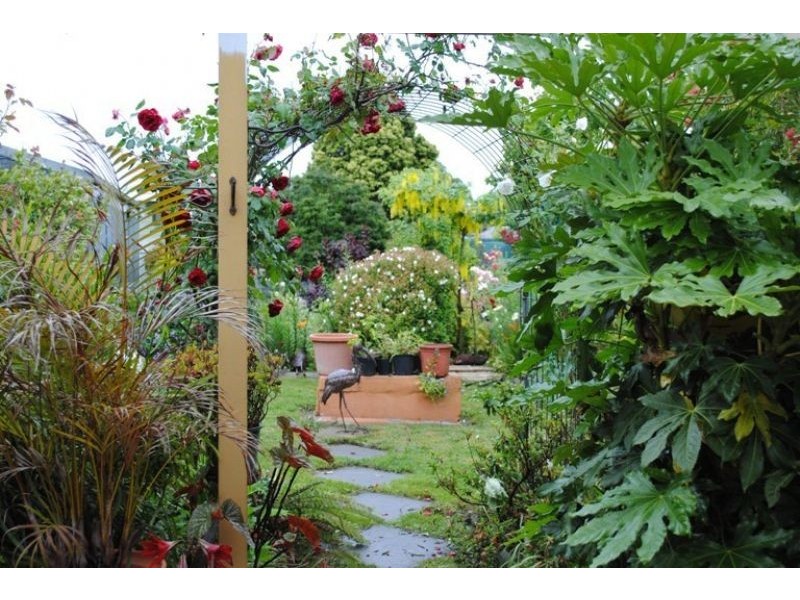 49 BAILLIEU ST, Wonthaggi VIC 3995