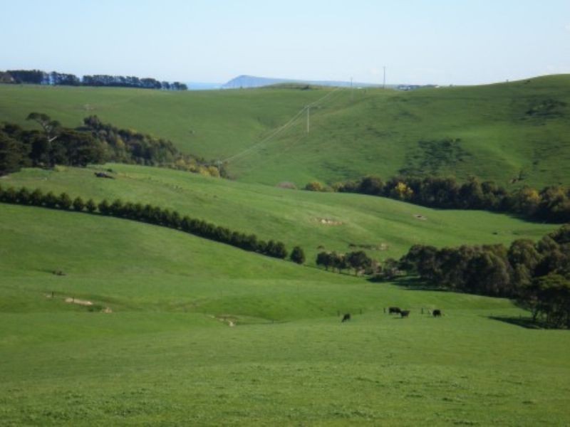 LOT 1 HAWKINS RD, Archies Creek VIC 3995